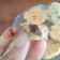 El cooksnap de Tam cuando hizo Galletitas  de naranja y chips de chocolate.