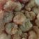 Cooksnap dari Eda Varia Rahmi untuk resep Udang Goreng Tepung Krispi