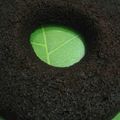 Cooksnap dari Rr's Kitchen untuk resep Chocolatos brownies kukus