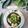 Cooksnap dari Imaami untuk resep Authentic Thailand  Chicken Green Curry /Kari Ayam Hijau Ala Thai