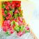 Cooksnap dari Winda Afathan untuk resep Permen Agar-agar jelly