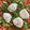Patricia's cooksnap of when they made Mozzarella Salad.