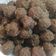 Cooksnap dari evi diana untuk resep Bakso Sapi Kenyal