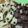 Cooksnap dari Chifhiea Alifia untuk resep Wafer Cookies