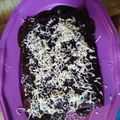 Cooksnap dari Silviana Sunuh untuk resep Bronis Kukus Chocolatos tanpa mixer