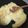 El cooksnap de Anahi Rojas C G cuando hizo Aligot (puré frances).