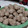 Cooksnap dari Wienz!Fave untuk resep Bakso Daging Sapi Devina Hermawan