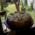 El cooksnap de Stella Maris Hernando cuando hizo Torta invertida de Manzana 🍏.