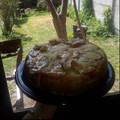 El cooksnap de Stella Maris Hernando cuando hizo Torta invertida de Manzana 🍏.