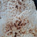 El cooksnap de Andre Franco cuando hizo Tortilla santiagueña a la plancha.
