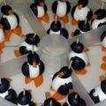 MrsBeef's cooksnap of when they made March of the penguins, olive and cheese bites.
