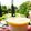 Cooksnap của Pi Ha khi họ làm theo món Bánh xoài Panna Cotta