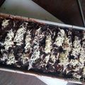 Cooksnap dari Ibunda Nura untuk resep Muffin Coklat Panggang