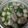 Cooksnap dari WillyndaVita untuk resep Bakso kuah simple ala chef angel