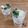 liarra's cooksnap of when they made 🍈🌿Mint Lime Mojito🌿🍈.