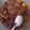 Cooksnap dari Yumnaa untuk resep Rendang sapi