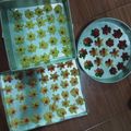 Cooksnap dari Mama Zaza untuk resep Kue semprit