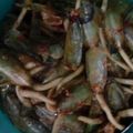 Cooksnap dari Erna AlChis Ilmi untuk resep Tebalan Bumbu Rujak Pedas