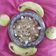 Saroj Shah's cooksnap of when they made ઘઉં ના લોટ નો શીરો (Wheat Flour Sheera Recipe In Gujarati).