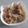 Cooksnap dari Dapoer Andini untuk resep Baksosis Gyudon #pekaninspirasi