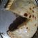 El cooksnap de Lele cuando hizo Pastel de papa vegano.