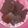 Cooksnap dari Irma Wati untuk resep Brownies coklat kukus sederhana