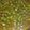 Deveshri Bagul 's cooksnap of when they made मिरचीचे लोणचे (mirchi che lonche recipe in marathi).