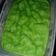 Cooksnap dari fitria untuk resep Bolu Pandan Kukus Praktis