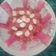 Rekha Vora's cooksnap of when they made ગાજરનો હલવો (Gajar Halwa Recipe In Gujarati).