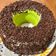 Cooksnap dari Gabby Tan untuk resep Chiffon Pandan resep mommy ^_^ Soft&Pillowy