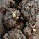Cooksnap dari Elliza Amris Makmur untuk resep Choco Chips Cookies