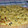 El cooksnap de MEG Ferrero cuando hizo Pastel de calabacín y puerro.