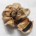 Cooksnap dari MutiaPS untuk resep Black Garlic (Bawang Putih Hitam)