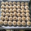Cooksnap από marista στη συνταγή Τα γλυκά του γάμου