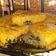 El cooksnap de Alejandra Gomez cuando hizo Torta integral de arándanos.