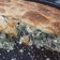 La cooksnap de Brenda Ehcosor cuando cocinó TARTA DE ACELGA Y RICOTTA !