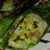Cooksnap dari Resty Annisa Zaeni untuk resep Nasi Liwet Bakar Ayam Suir Kemangi