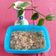 Cooksnap dari Dinda Permata Sari untuk resep Tuna mayonaise