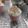 No zuo no die. Why you try ? 的 基本杯子蛋糕 (cup cake) cooksnap