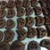 Cooksnap dari Gendriani untuk resep Chocolate shortbread cookies