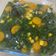 Cooksnap dari firdani antika untuk resep Sayur Bening Bayam Wortel