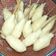Cooksnap dari asha untuk resep Sempol Ayam Sederhana