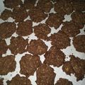 Cooksnap dari Nur Sofiatul Qomariyah untuk resep Oat Cookies Pemula