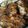 รูป Cooksnap ของ ByrdThira เมื่อเขาทำ สามชั้น-คอหมู หมักพริกป่นย่าง