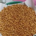 Cooksnap dari Marini untuk resep Kacang bawang empuk, renyah n enak mudah buatnya