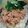Cooksnap dari Regina Elisabeth untuk resep Homemade Mie Ayam Jamur