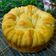 Cooksnap dari andarani untuk resep Wool Roll Bread