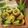 Cooksnap dari Frielingga Sit untuk resep Kue Cubit ala Tintin Rayner (no mixer)