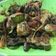 Cooksnap dari Babybunnie untuk resep Ayam rica kemangi pedas nampoll