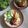 Cooksnap dari Indah Mei untuk resep Selat Solo